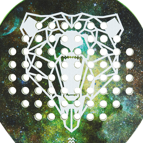 padel racket bear